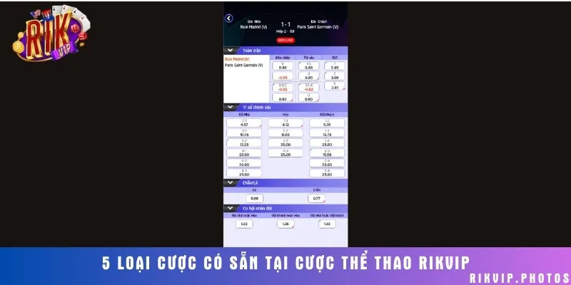 Nắm rõ 5 loại cược thể thao khi chơi
