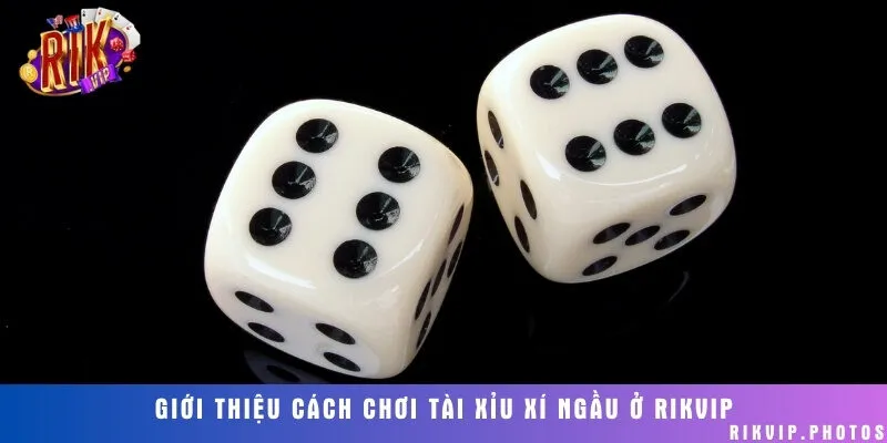 Khám phá trò chơi Tài Xỉu Xí Ngầu ở cổng game bài Rikvip