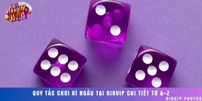 Hướng dẫn quy luật, cách thức đặt cược cho tân binh