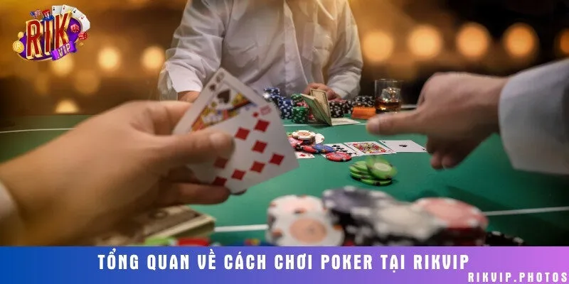 Cách thức đặt cược, luật chơi chi tiết cho người mới