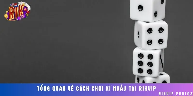 Thông tin game lắc xí ngầu cực hấp dẫn