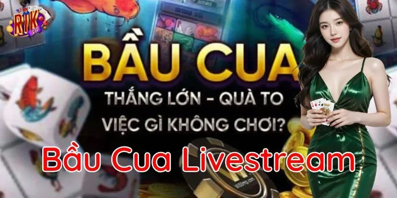Hướng dẫn chơi Bầu Cua Livestream dễ hiểu